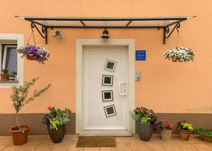 Crni Macak Lejlighed