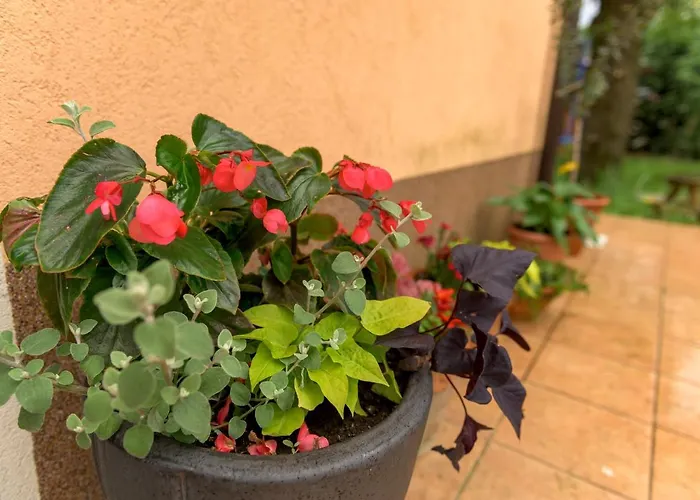 Crni Macak Apartment